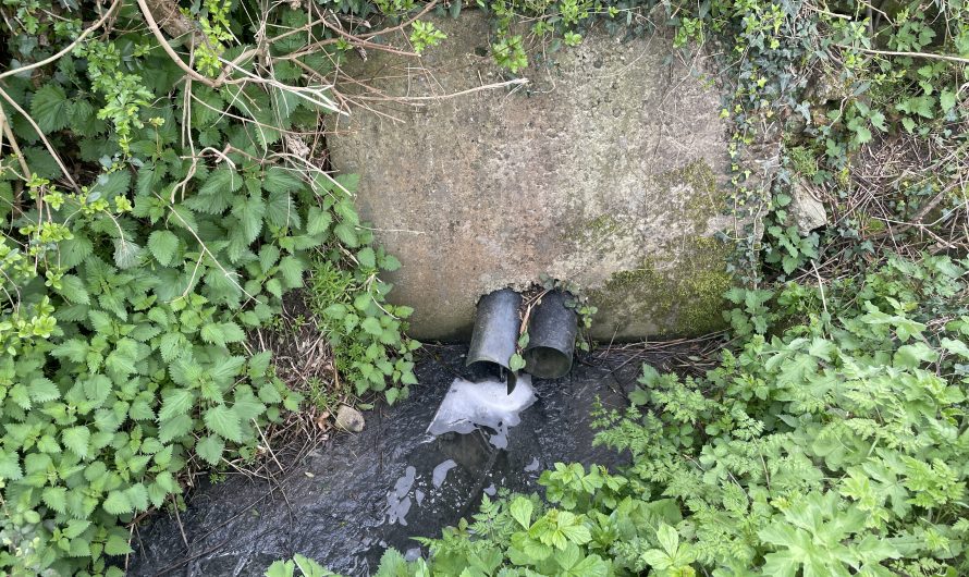 Sewage in Fenton Road ditch!